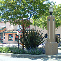 cotati