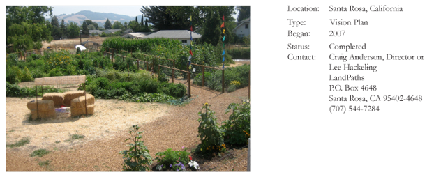 Central Petaluma SmartCode